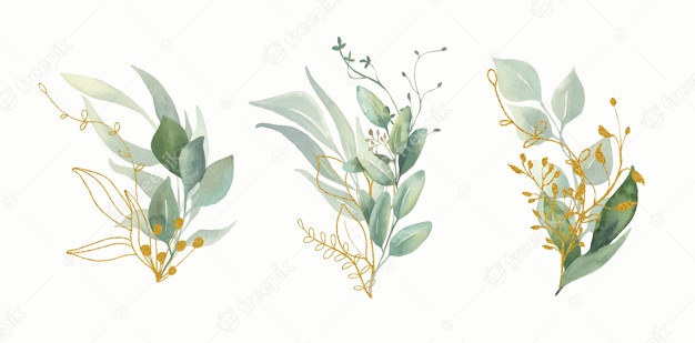 Flowrista online flower The 5 Powers of Flowers - Flowrista 