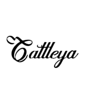 CATTLEYA