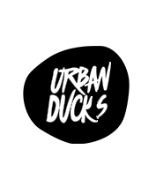 urban ducks