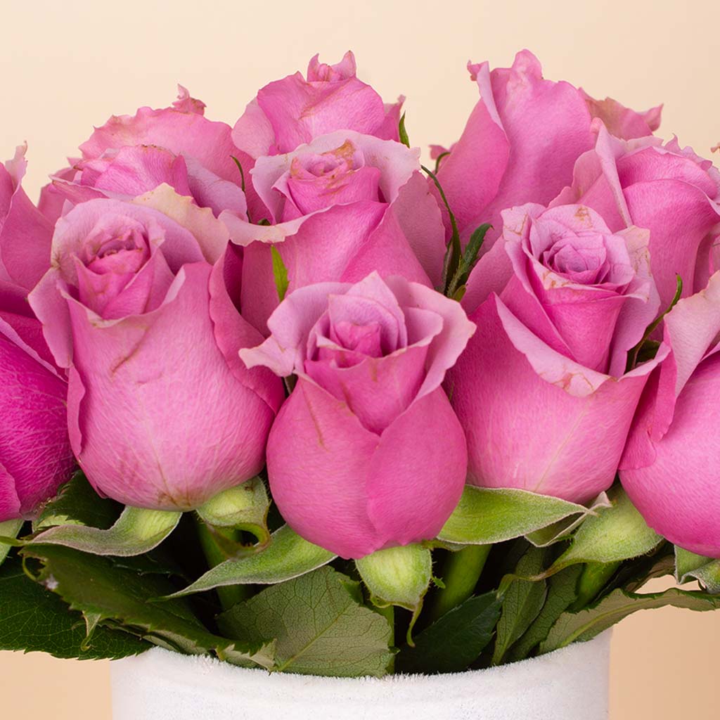 product-image-Purple Signature Vase - 20 Stems