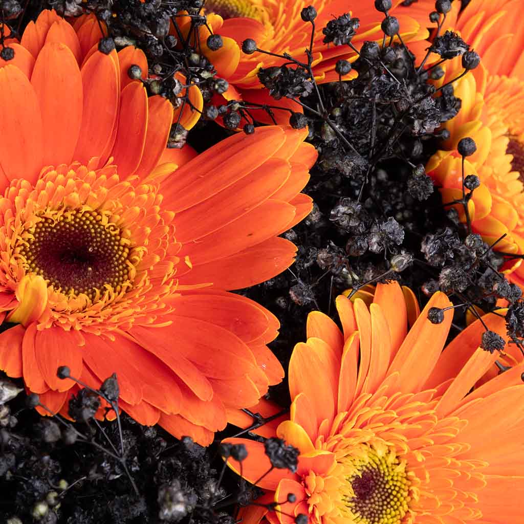 product-image-Amber Noir Bouquet