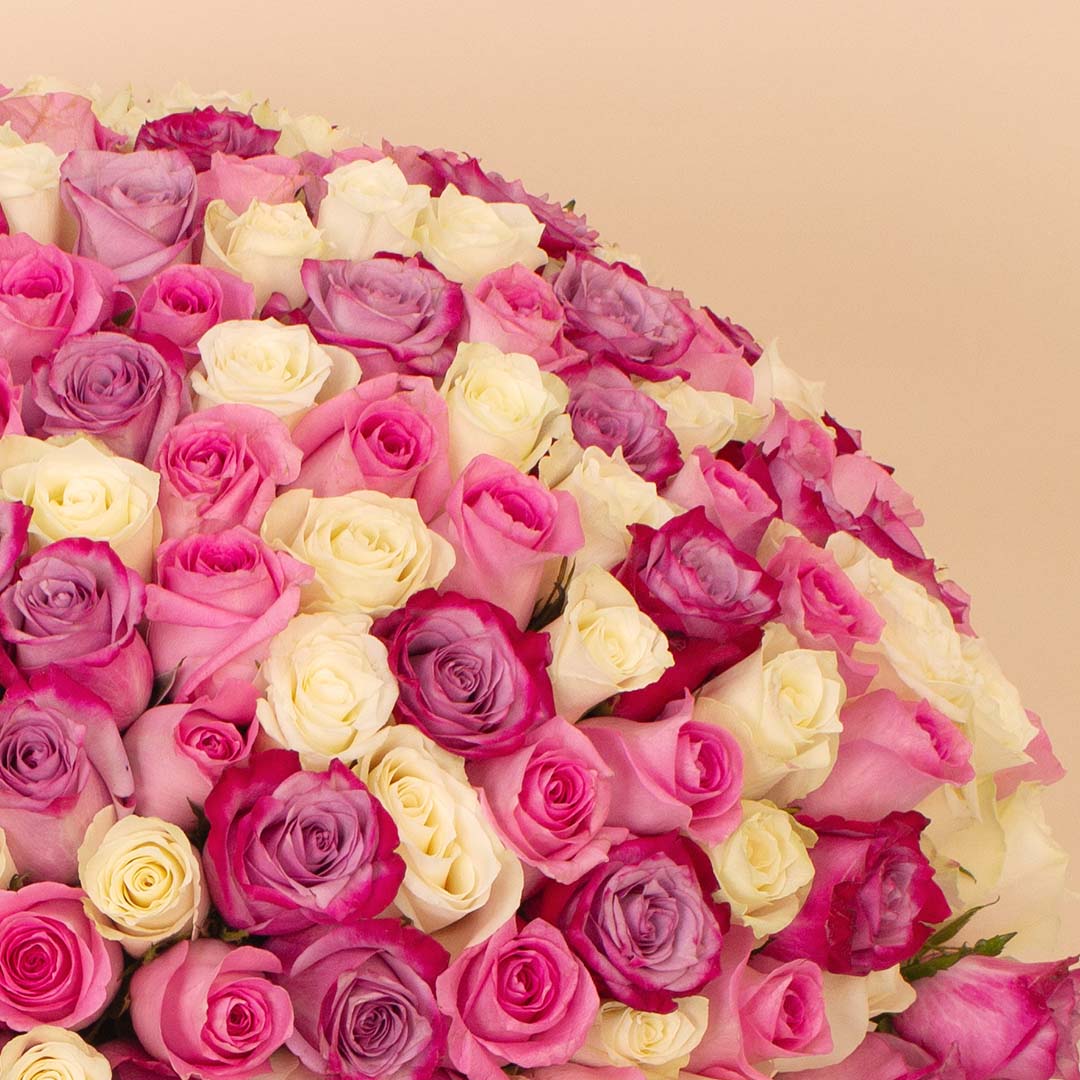 product-image-Flowrista | Grand Bouquet of 250 Purple & White Roses