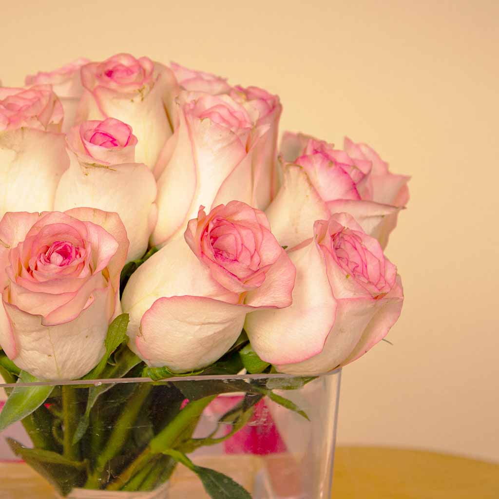 product-image-Pink Flowers Vase Cube – 20 Flowers 