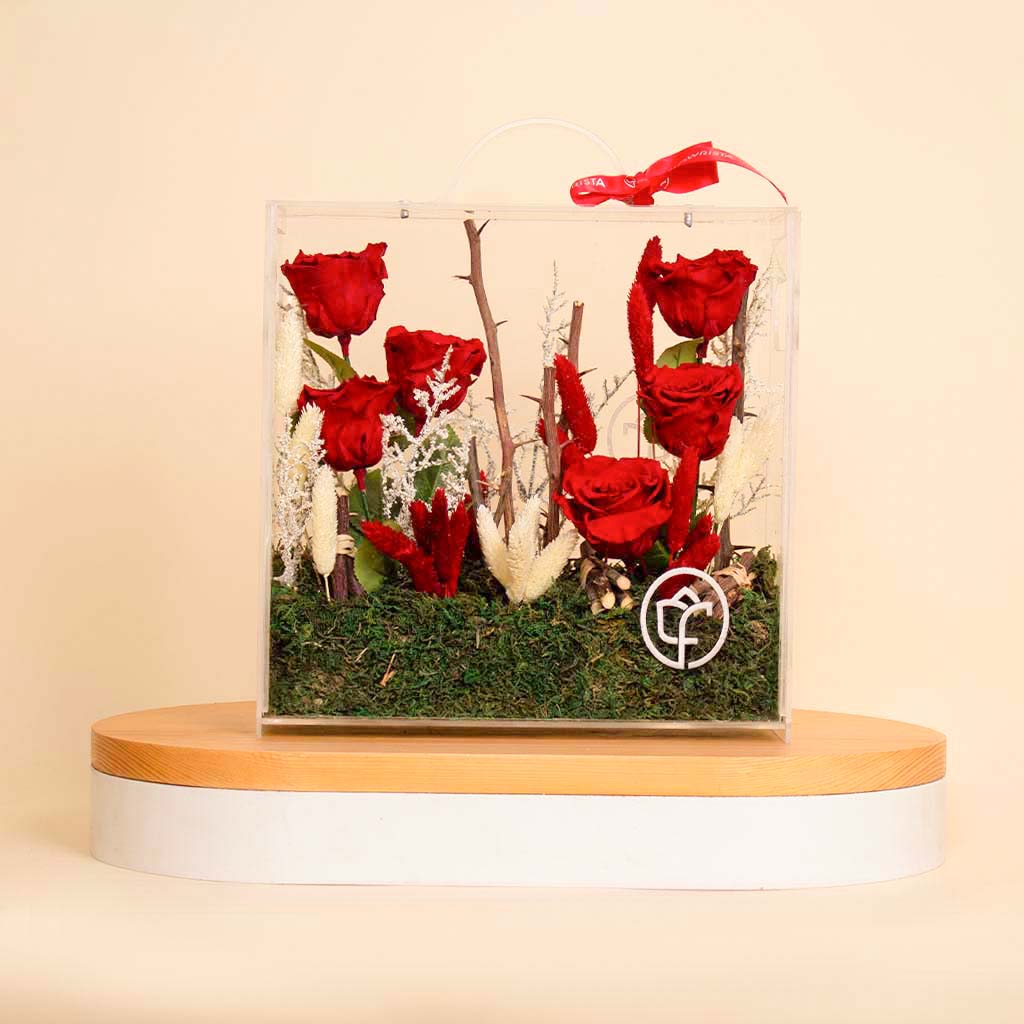 Flowrista Online Flowers Shop Red Eternity Roses  Box - 6 Roses