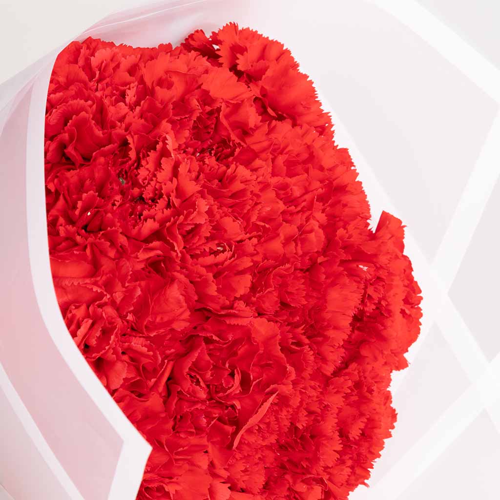 product-image-Carnation Grace