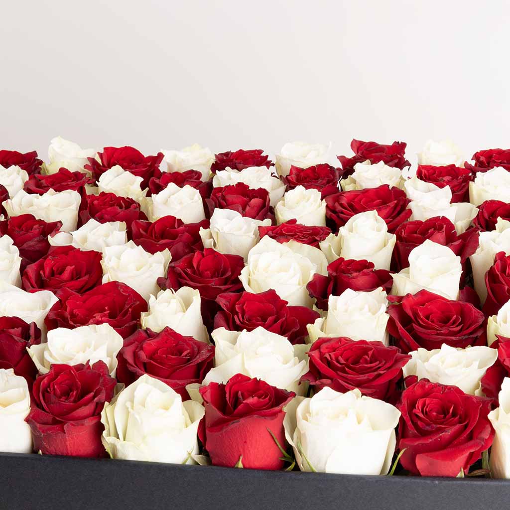 product-image-Red White Roses Box