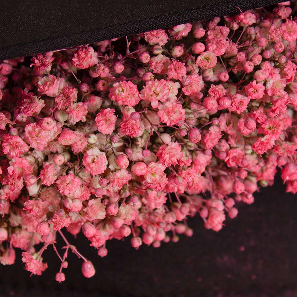 product-image-Graduation Cap with a Baby Flower Touch