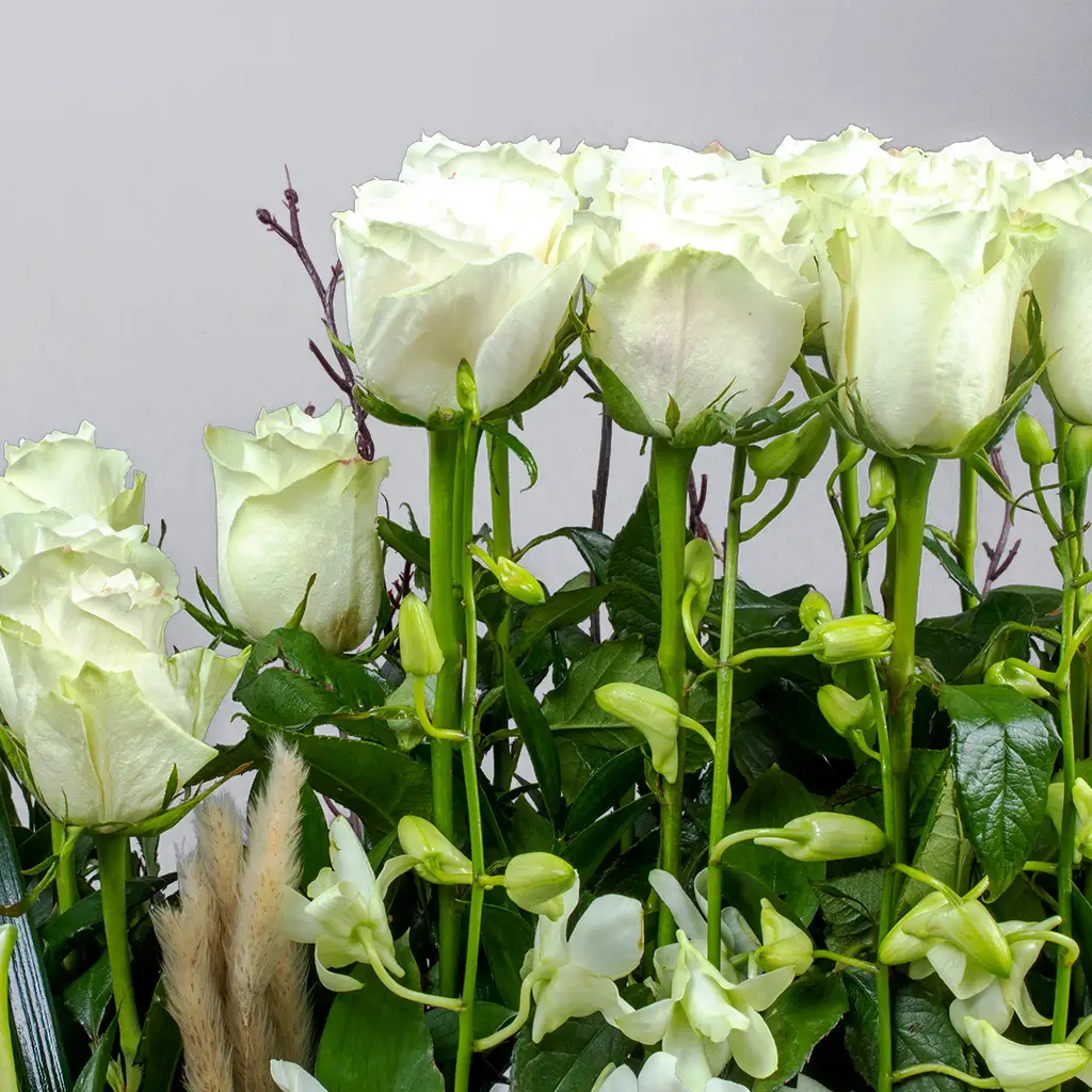 product-image-Peaceful Amour