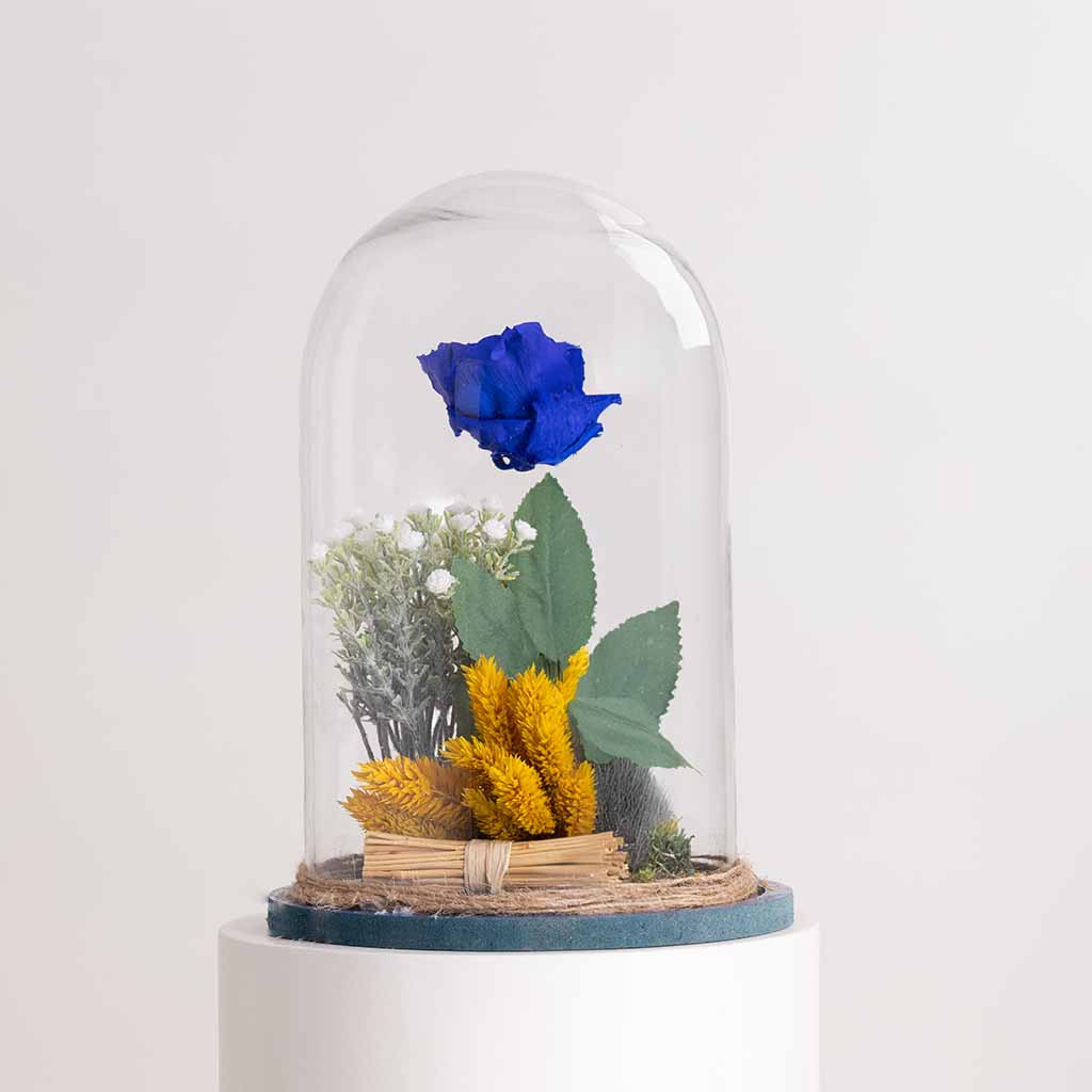 Flowrista Online Flowers Shop وردة الخلود الزرقاء