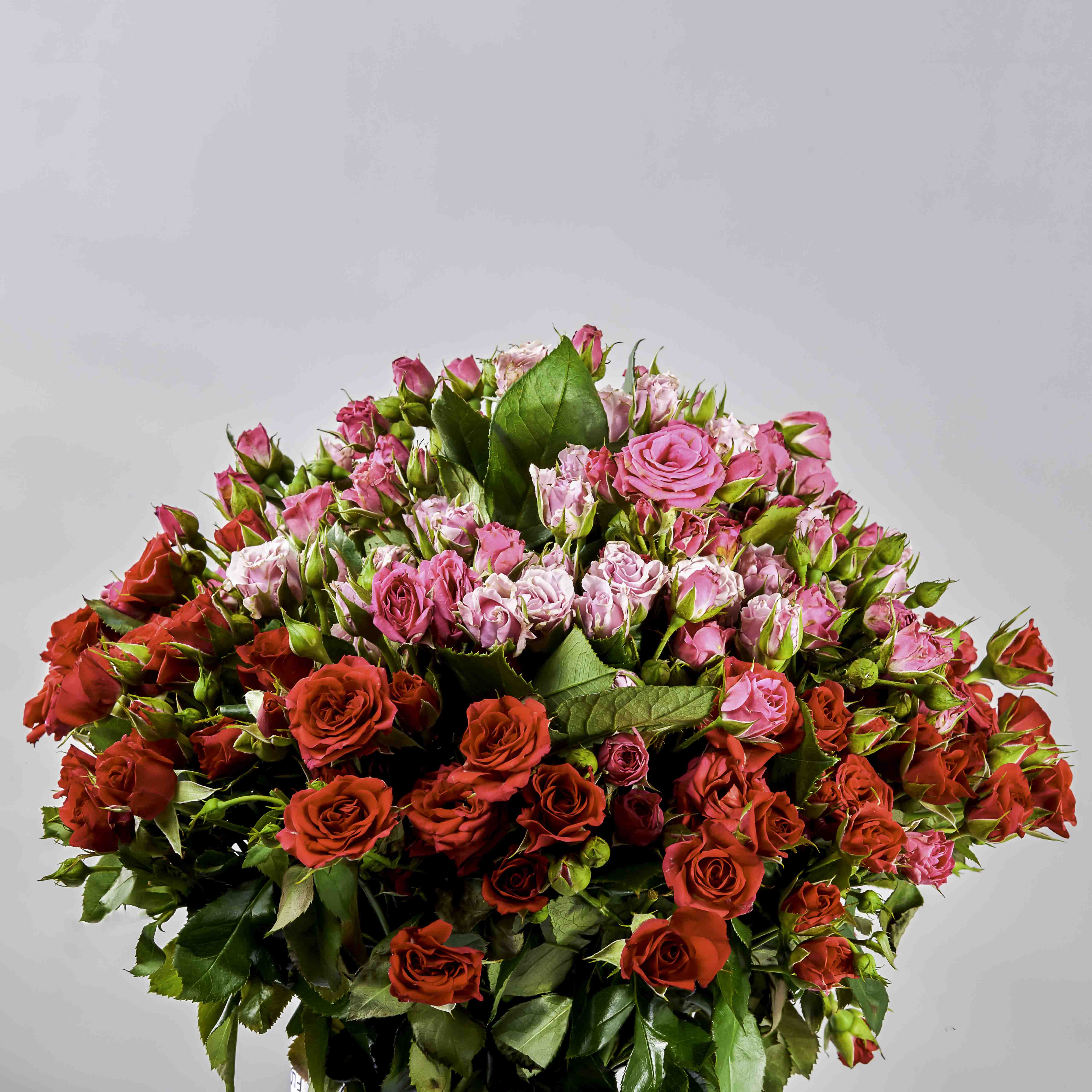 product-image-Flowrista | Pink & Red Baby Roses Bouquet