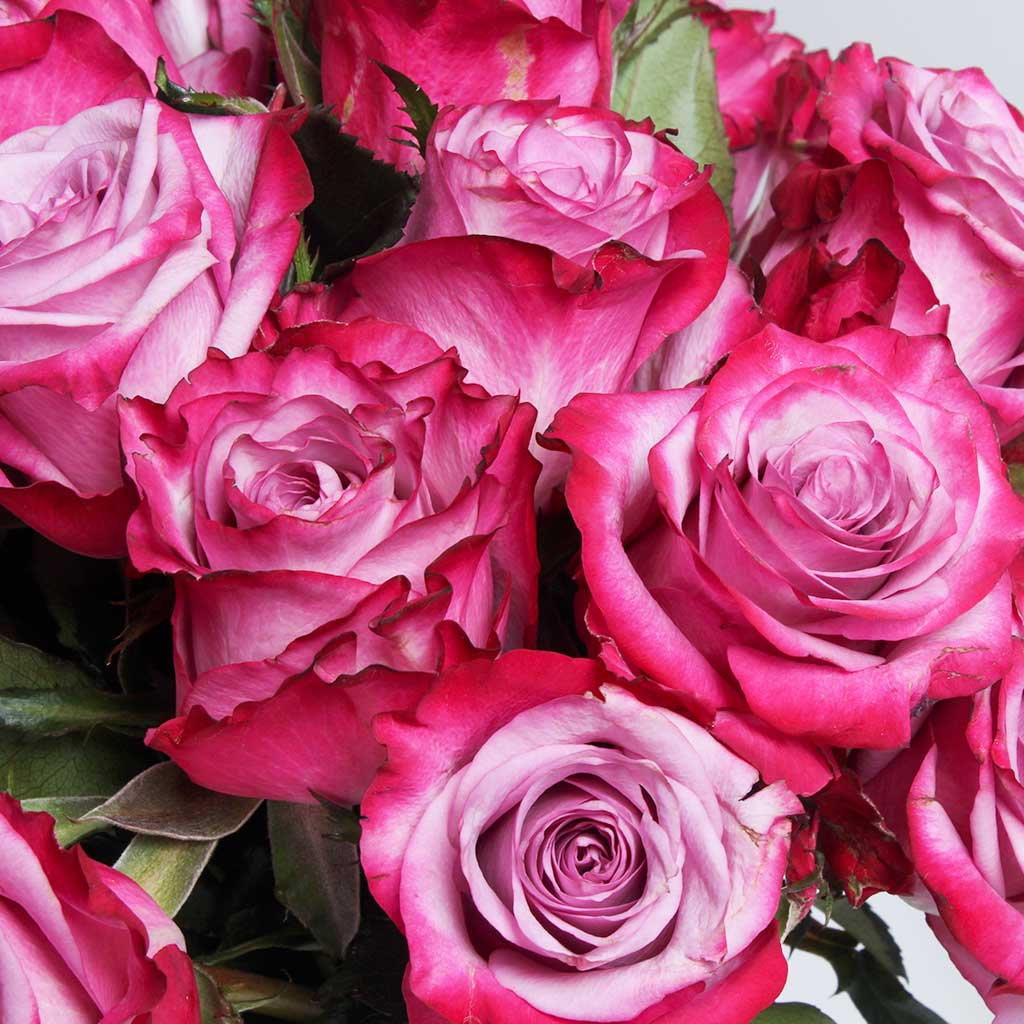 product-image-Ramadan Gift Set: Pink Roses Vase with Quran