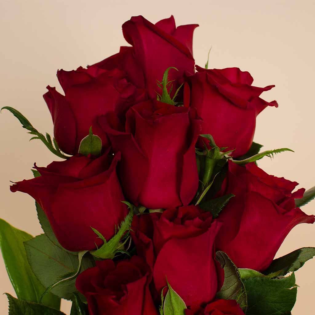 product-image-The Grand Love Vase – Luxurious Red Roses