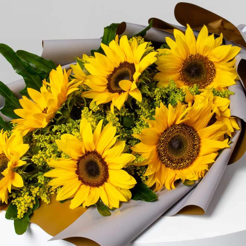product-image-Beautiful Day