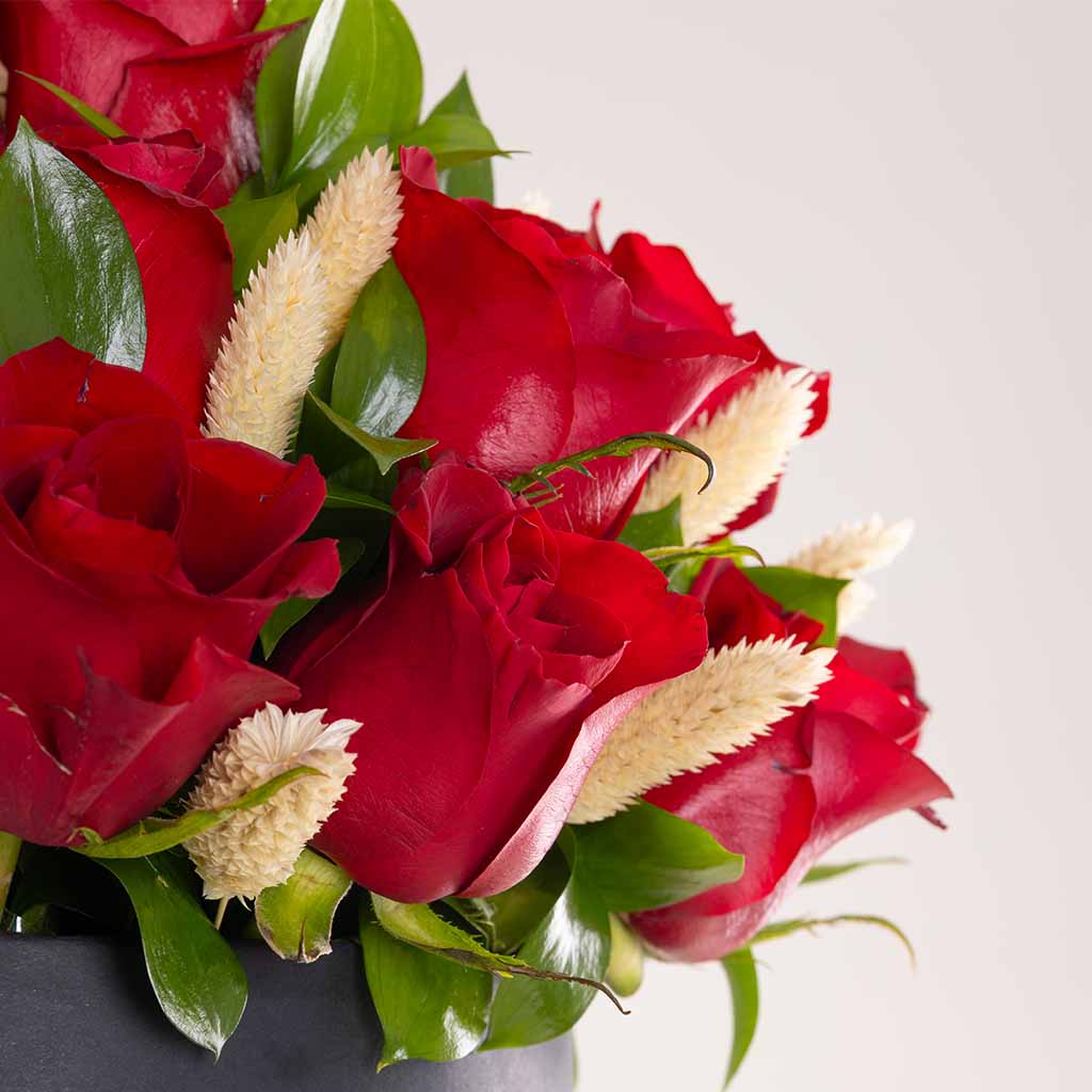product-image-صندوق ورود فلوريستا الكلاسيكي الأحمر