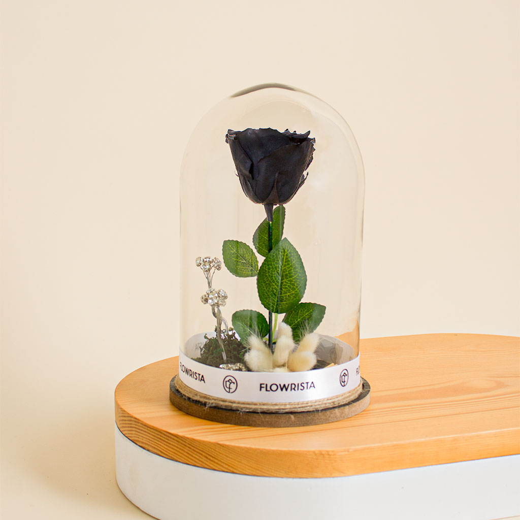Flowrista Online Flowers Shop Black eternity rose