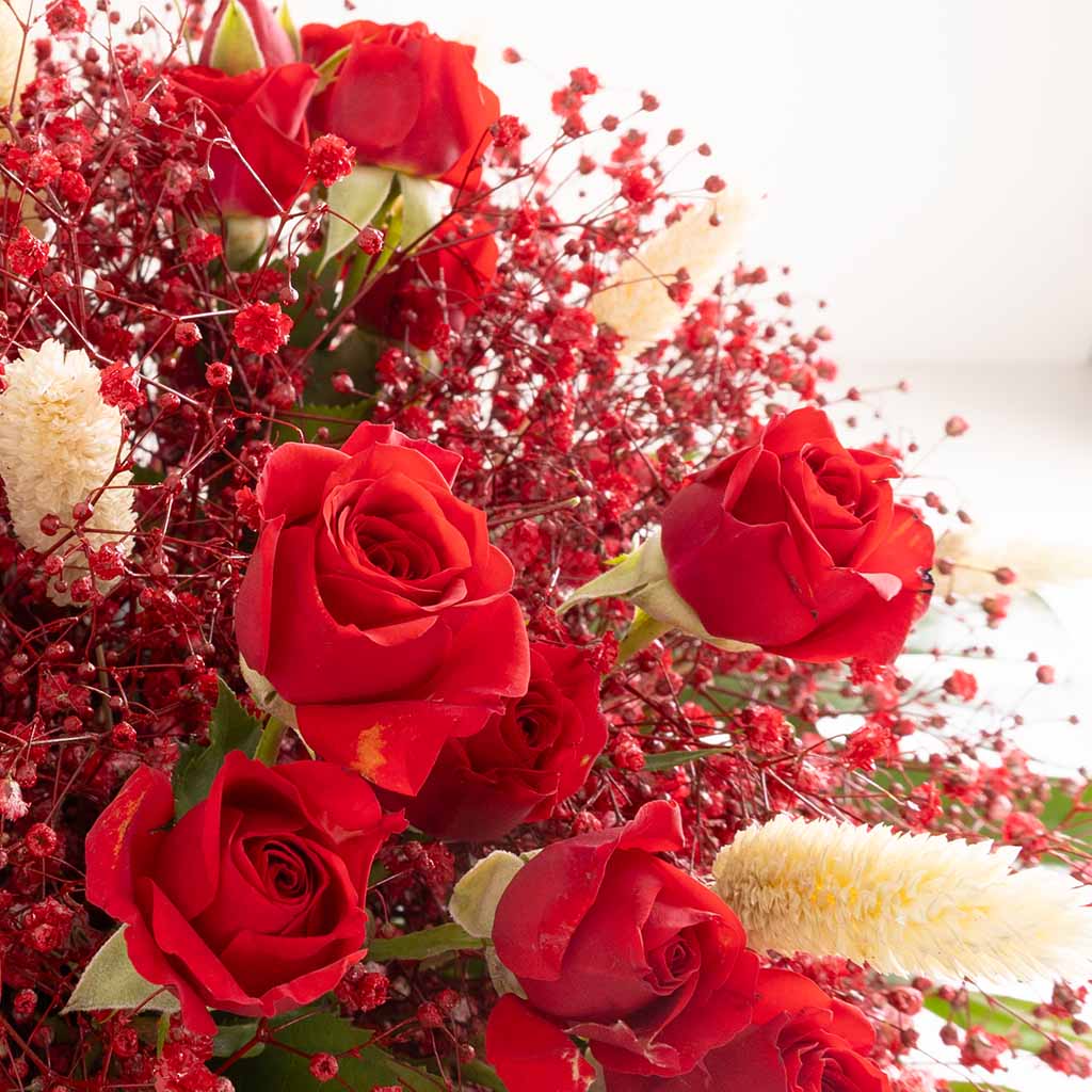 product-image-مزهرية سكارليت إير