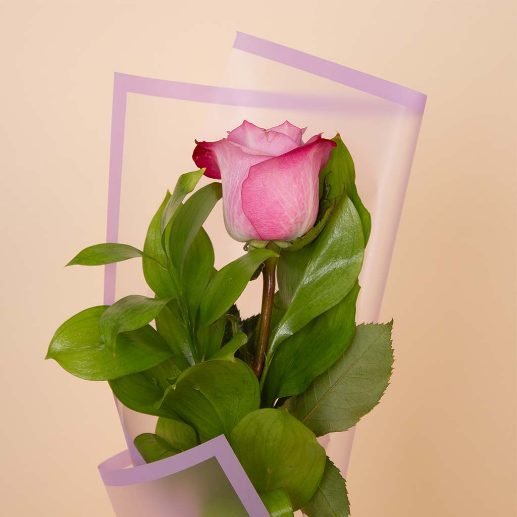 product-image-Single Purple Rose Bouquet