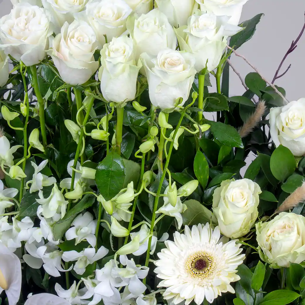 product-image-Peaceful Amour