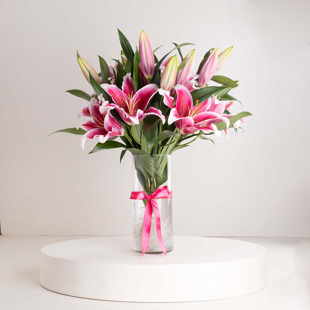 product-image-مزهرية روزيه ستارغيز