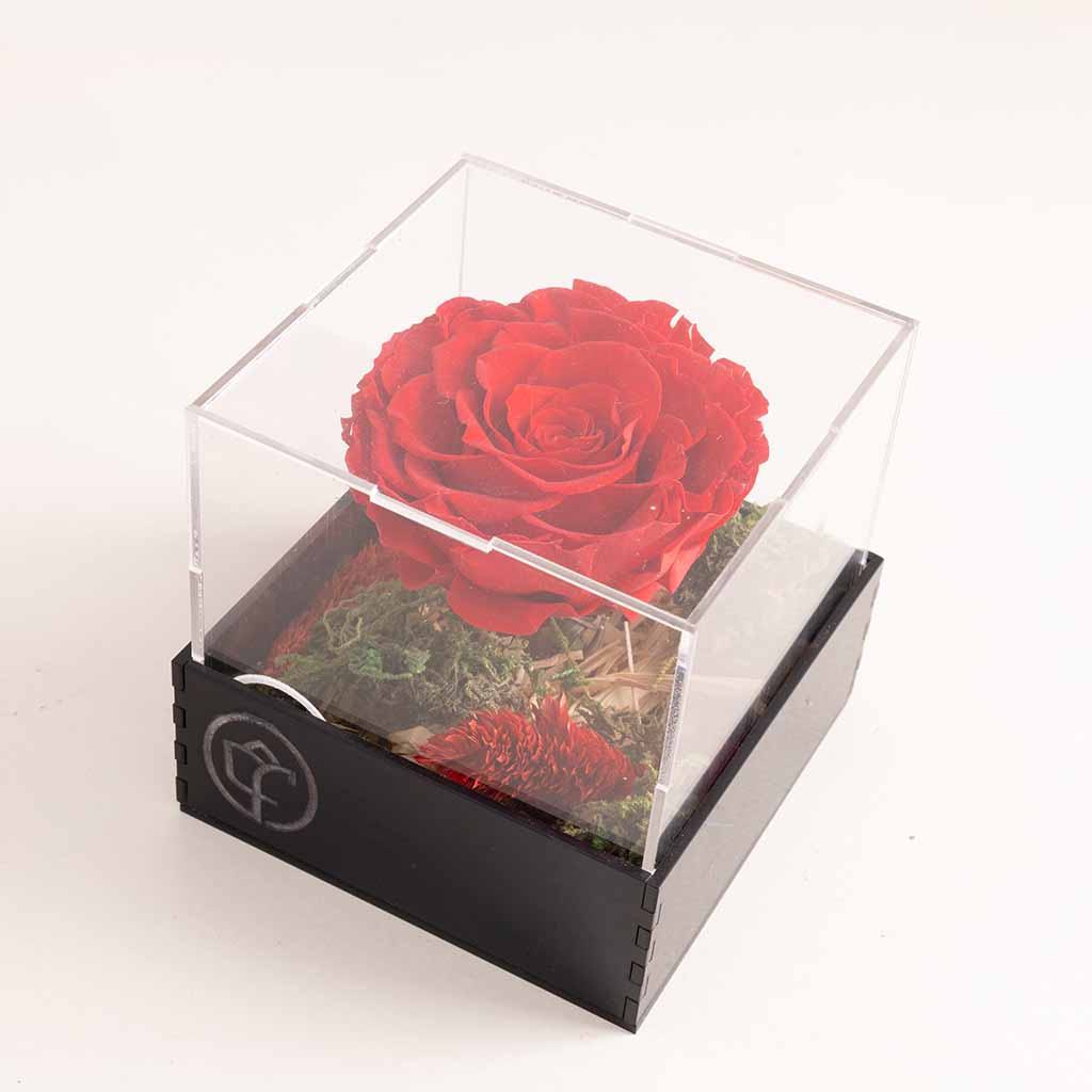 product-image-صندوق وردة الخلود