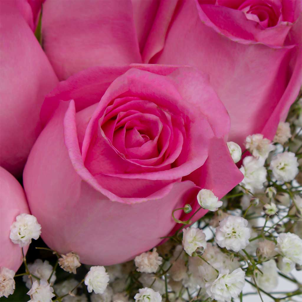 product-image-Pink Rose Vase With Gypsophila
