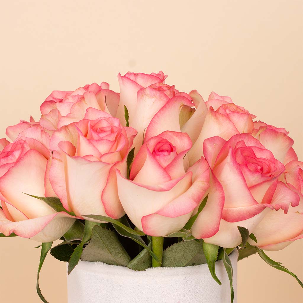 product-image-Pink Signature Vase - 20 Stems