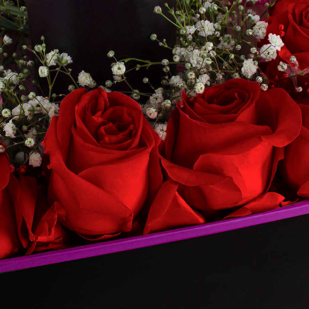 product-image-Lazaro Z1 Car Scent Diffuser and 10 red roses box