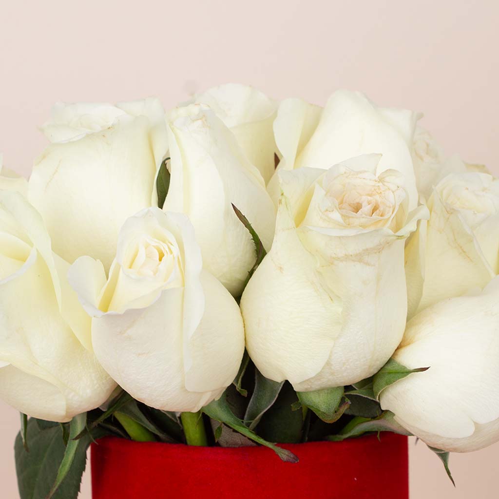 product-image-White Glow Vase - 20 Stems