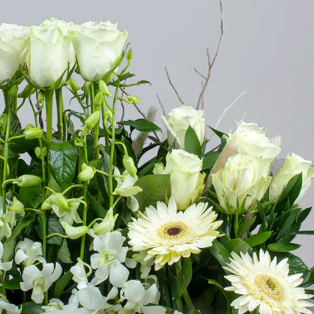 product-image-Peaceful Amour