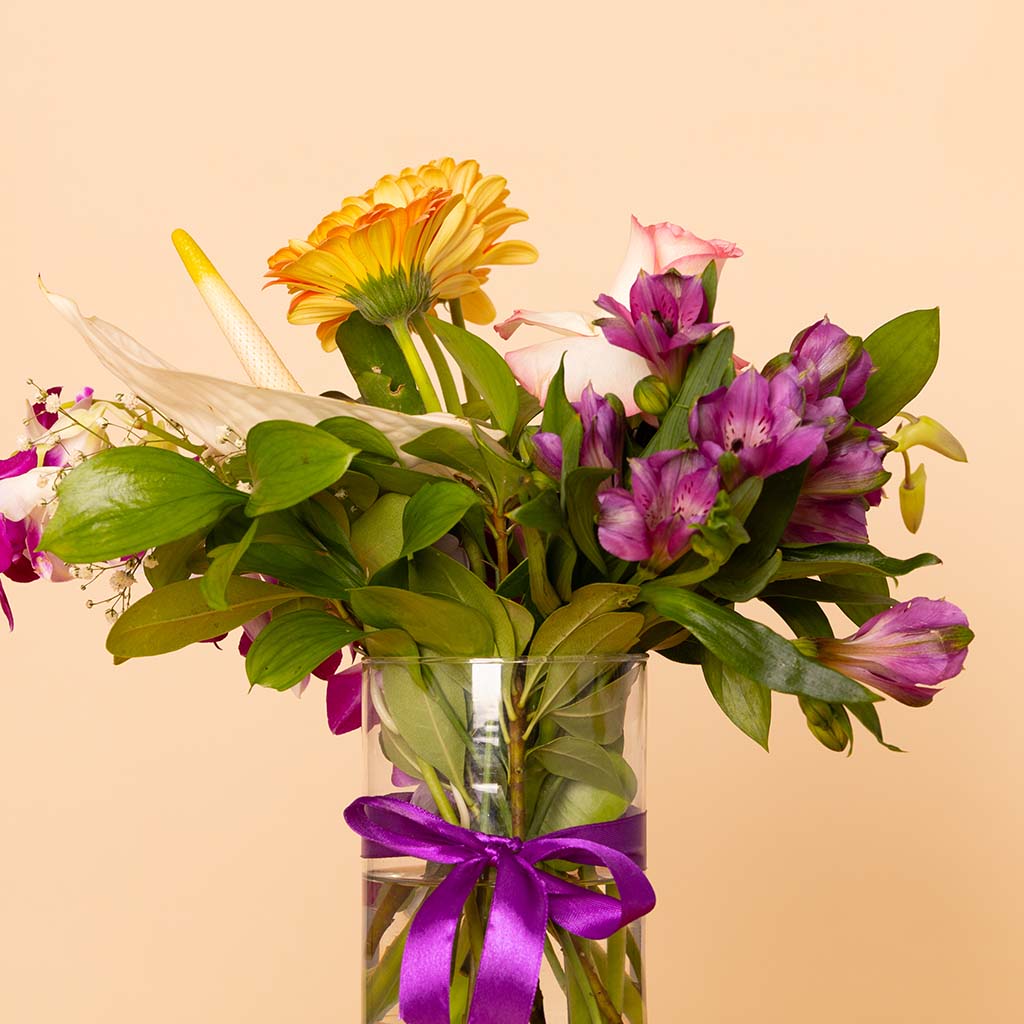 product-image-مزهرية أوركيد ريفيري