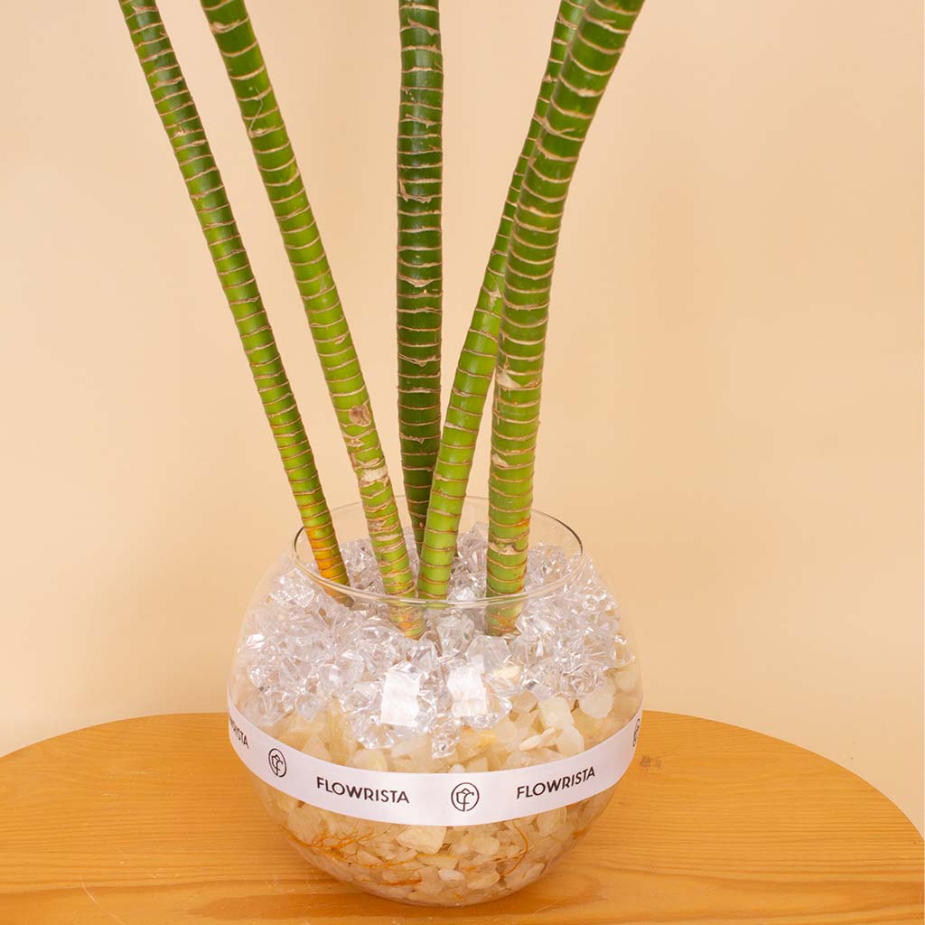 product-image-Lotus Bamboo Vase