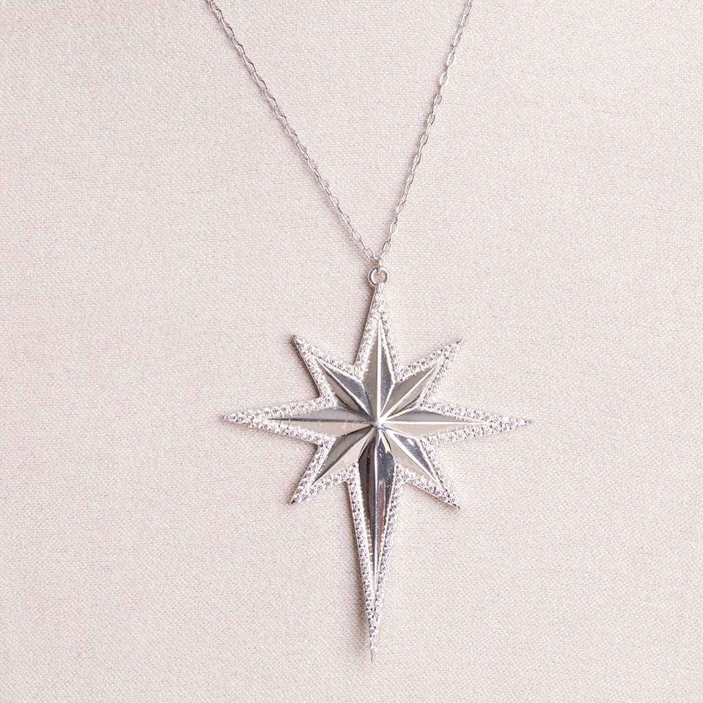 product-image-Felizmoda North Star Necklace & Pink Rose Bouquet