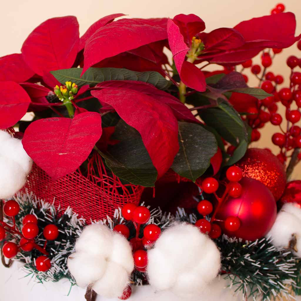 product-image-Happy New Year Grand Festive Box
