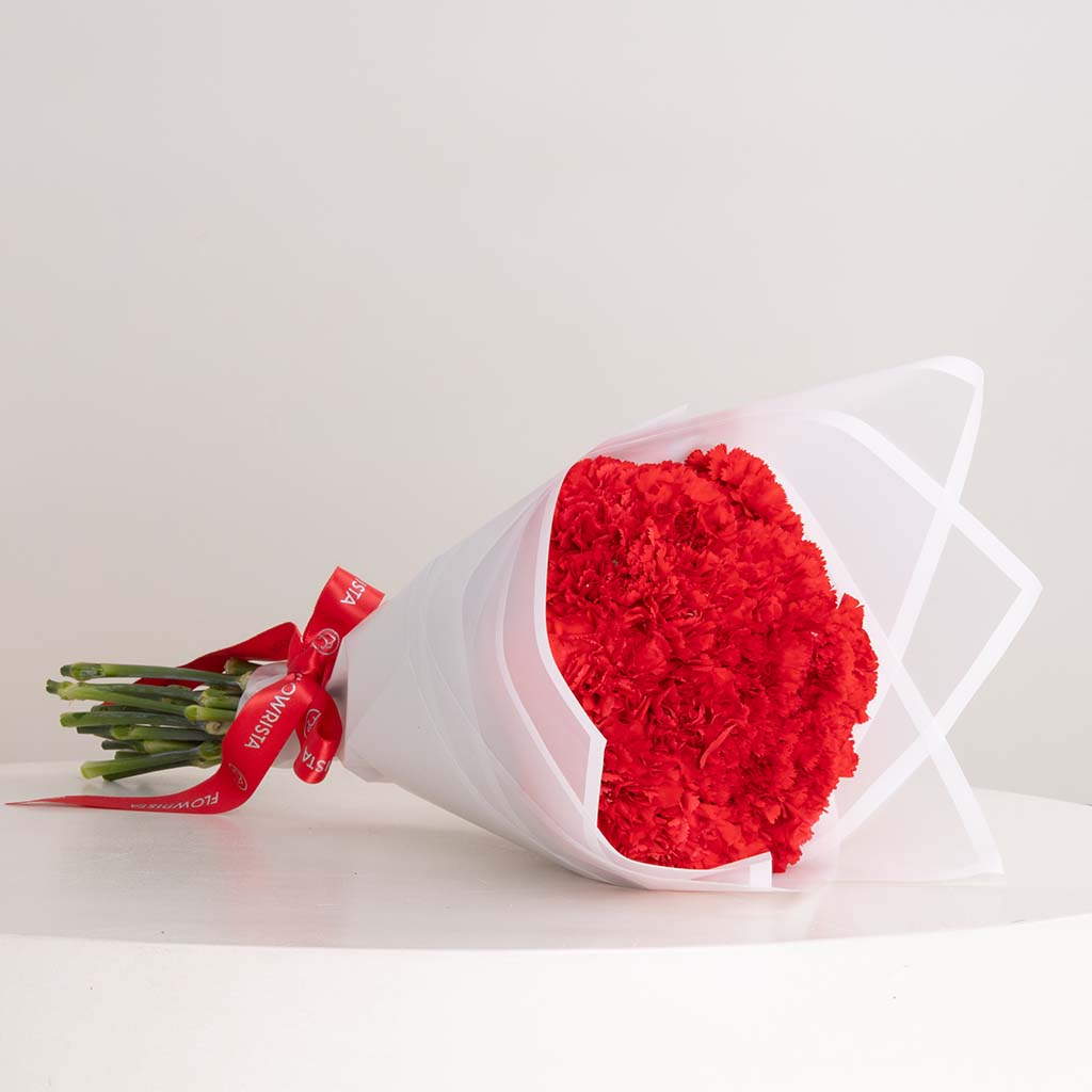Flowrista Online Flowers Shop بوكيه قرنفل أنيق