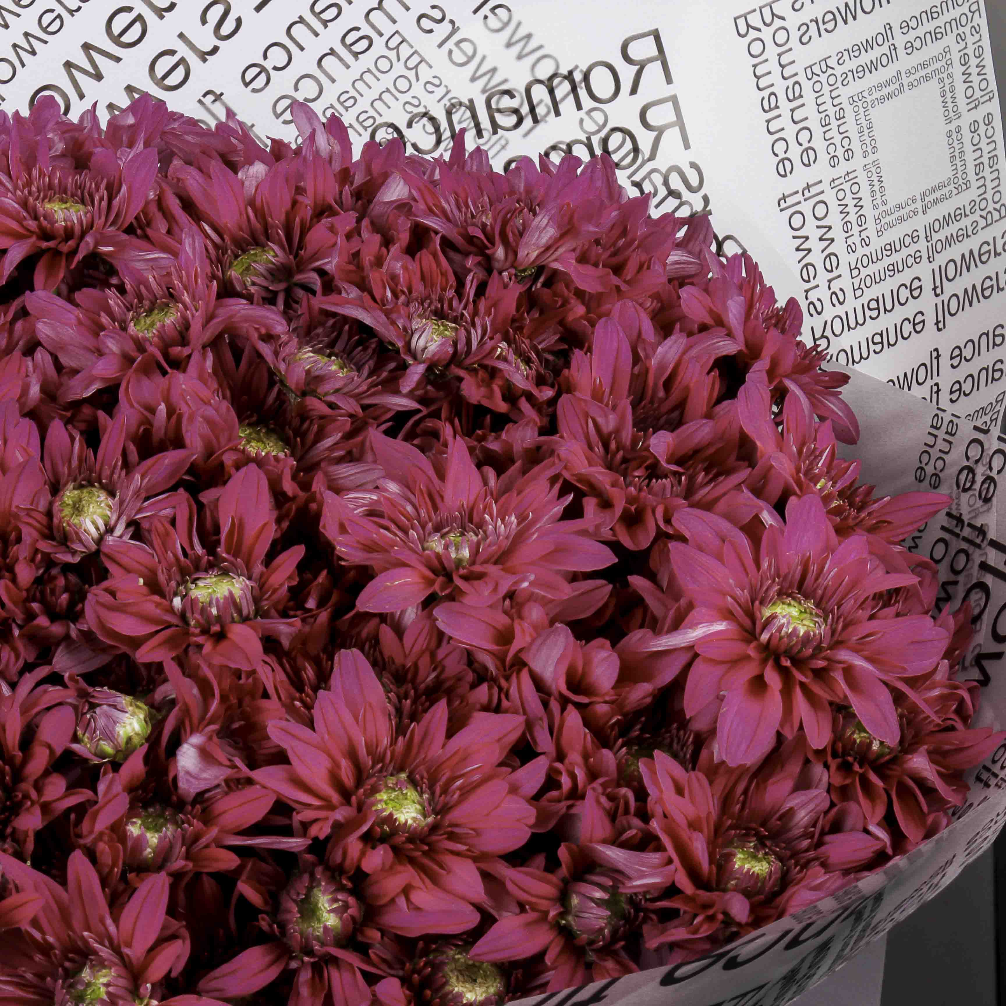 product-image-Purple Chrysanthemum Hand Bouquet