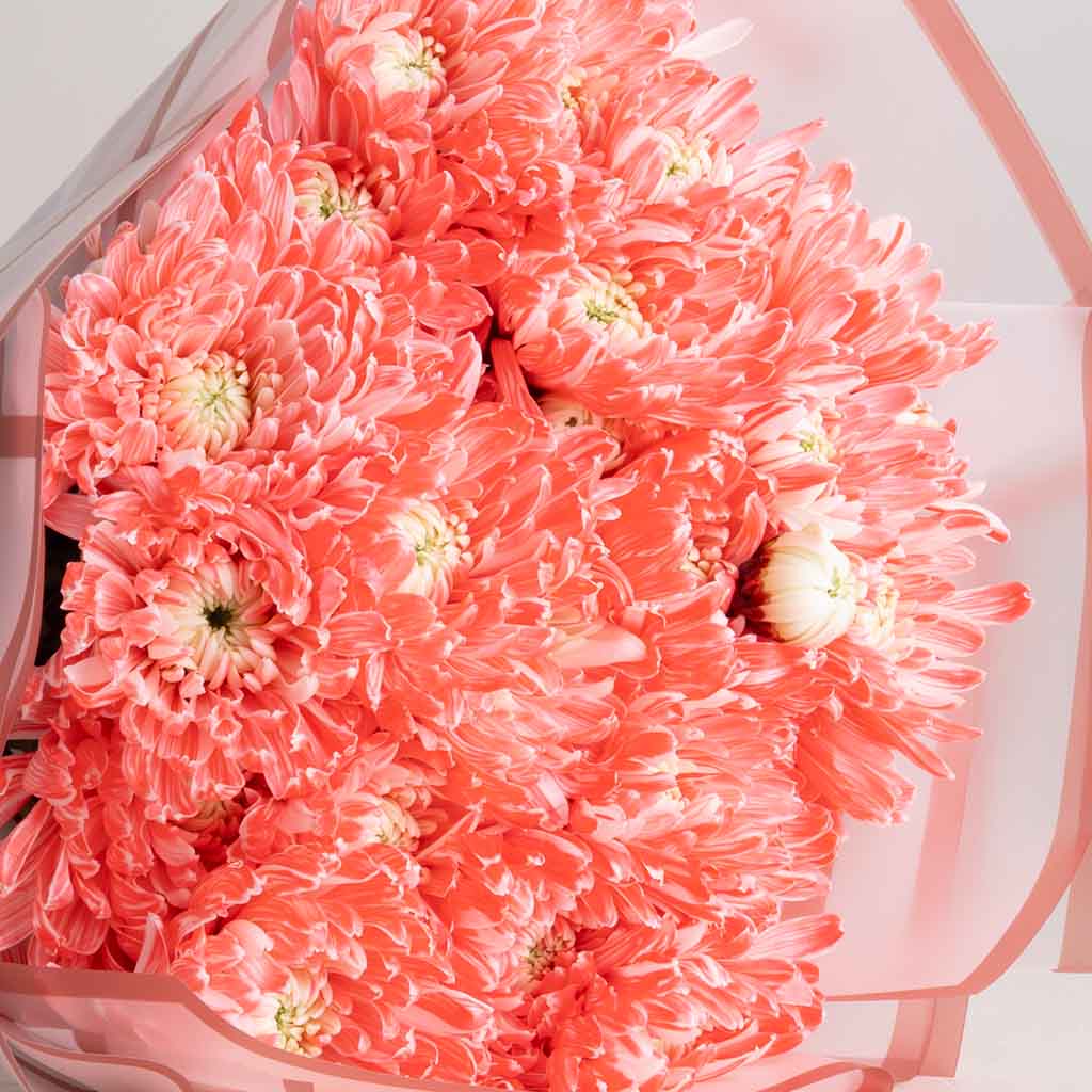 product-image-Sunlit Chrysanthemum