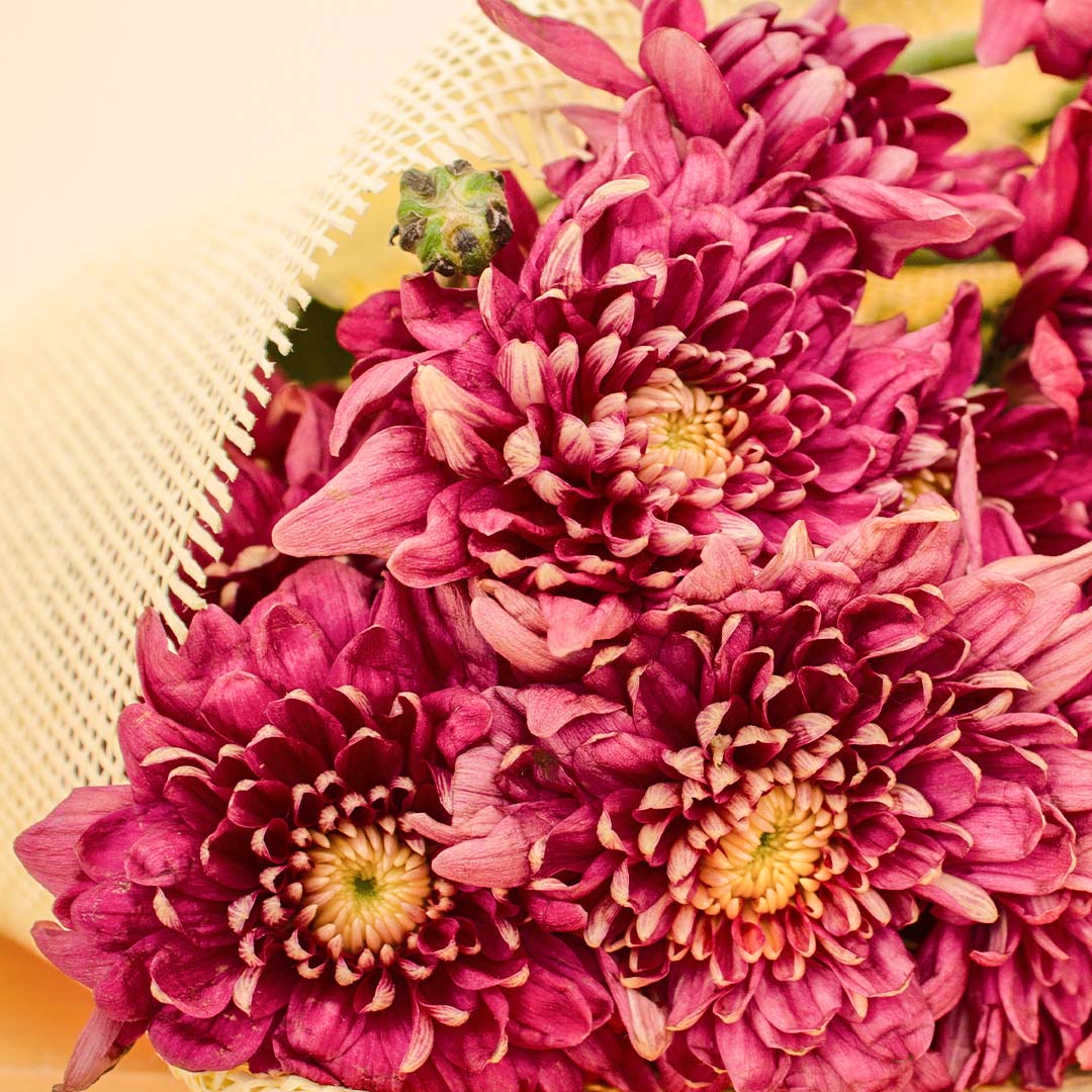 product-image-Flowrista | Purple Chrysanthemum Bouquet