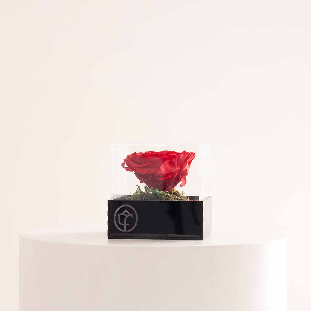 Flowrista Online Flowers Shop صندوق وردة الخلود