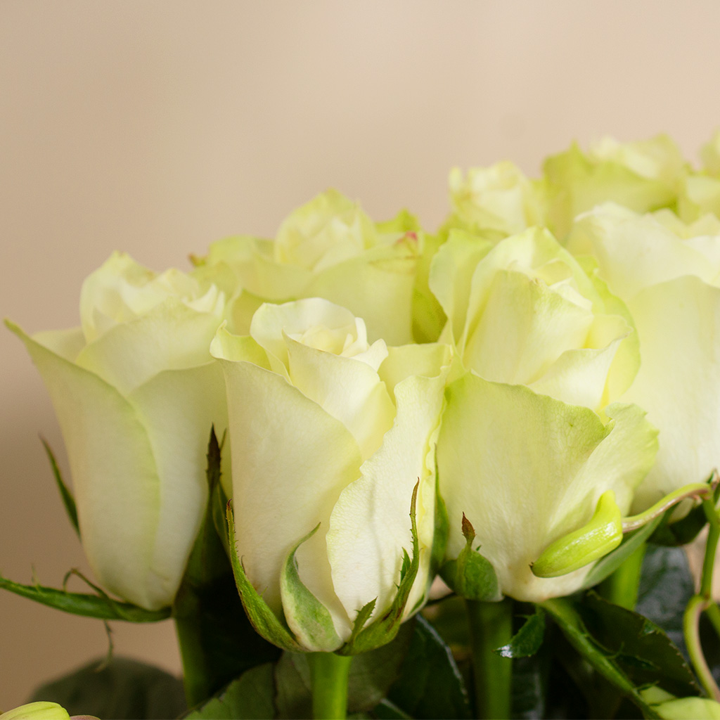product-image-Patchi Chocolate 1kg and 30 white and pink roses