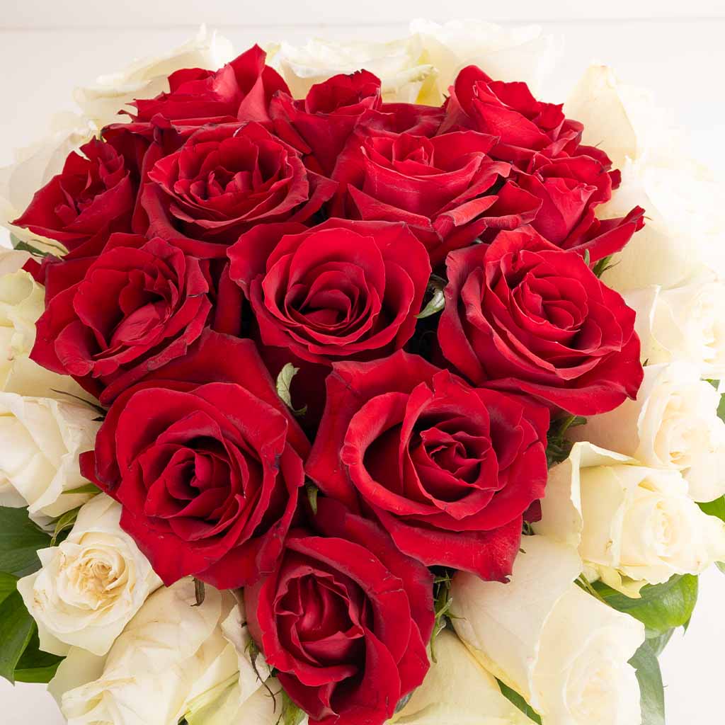 product-image-Flowrista Timeless Red & White Rose Box