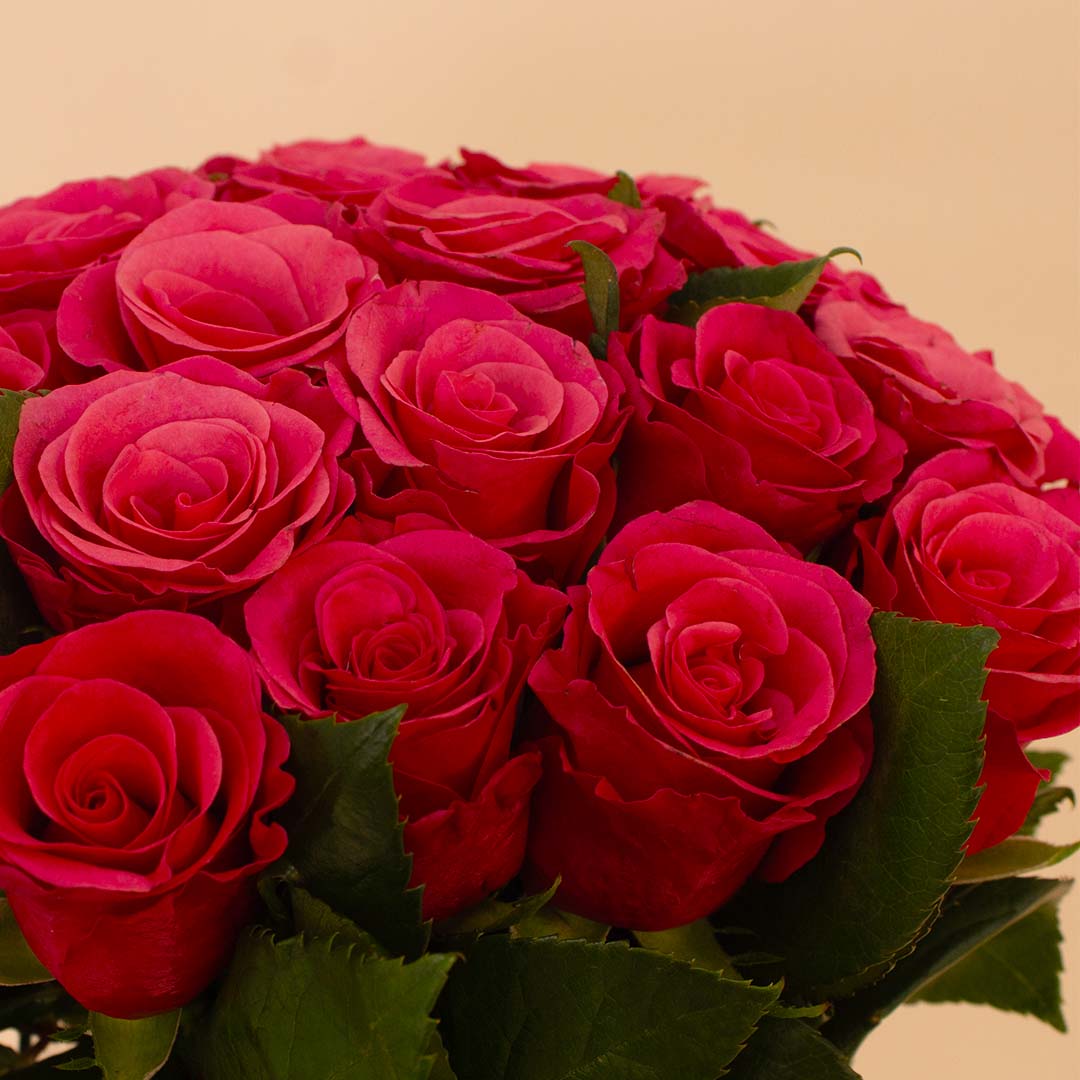 product-image-Flowrista | 20 Red Roses Vase