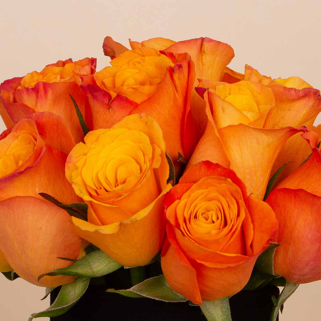 product-image-Sunset Ember Vase - 20 Orange Roses