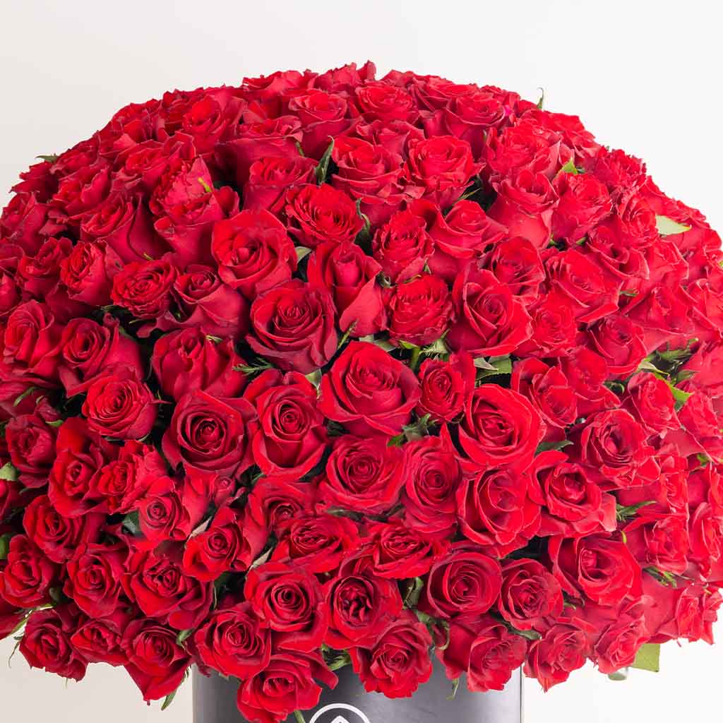 product-image-Box 250 Roses