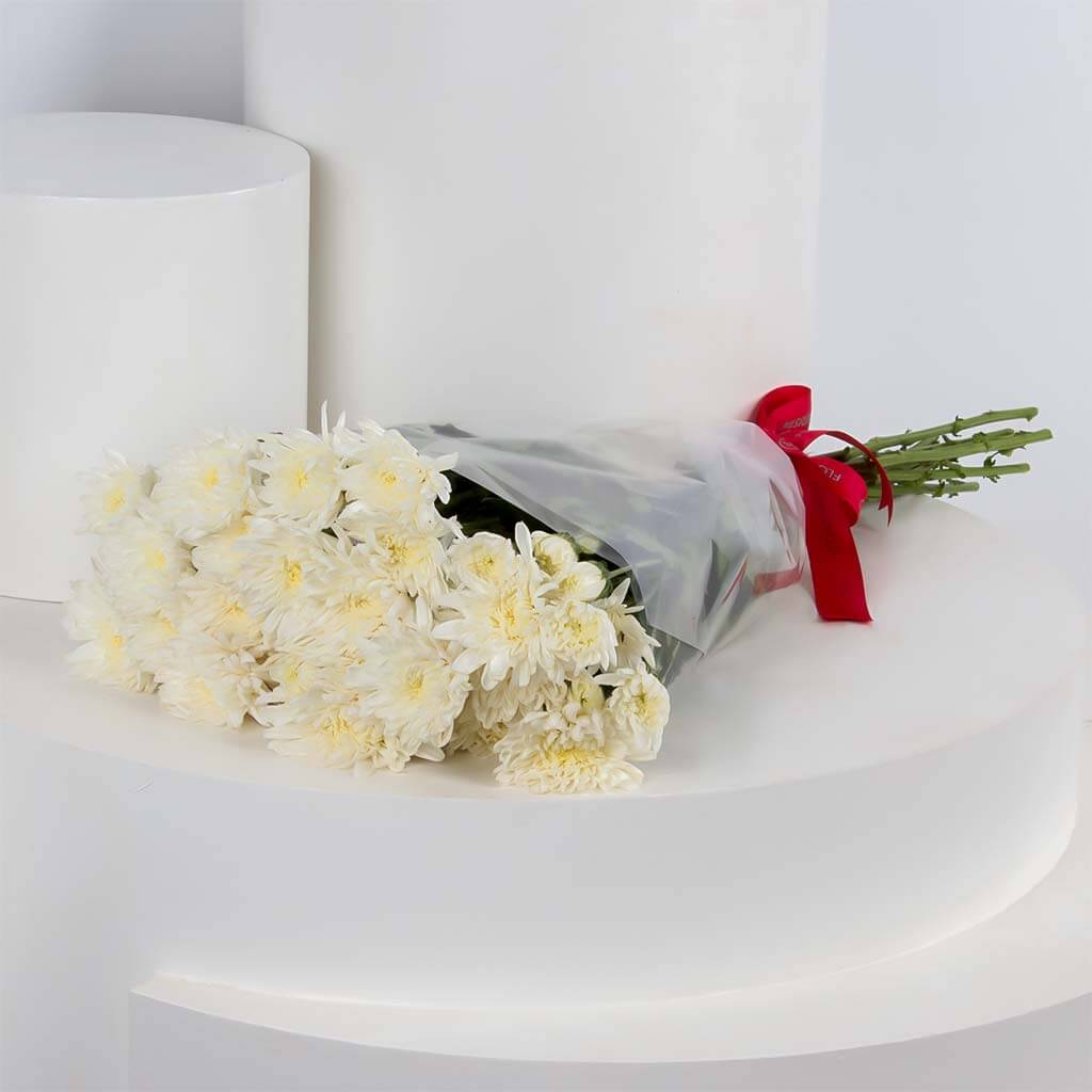 Flowrista Online Flowers Shop Splash of white