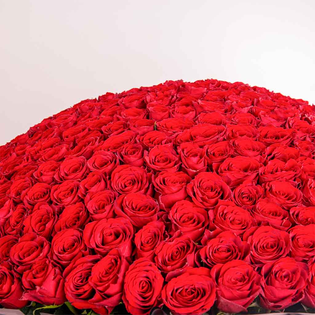 product-image-500 زهرة حمراء بوكية