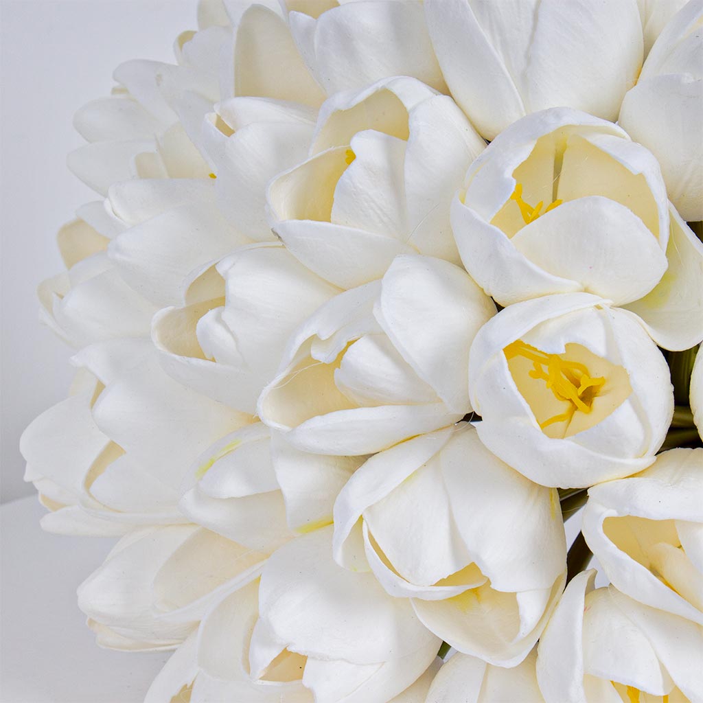 product-image-Jumbo Tulip jerb