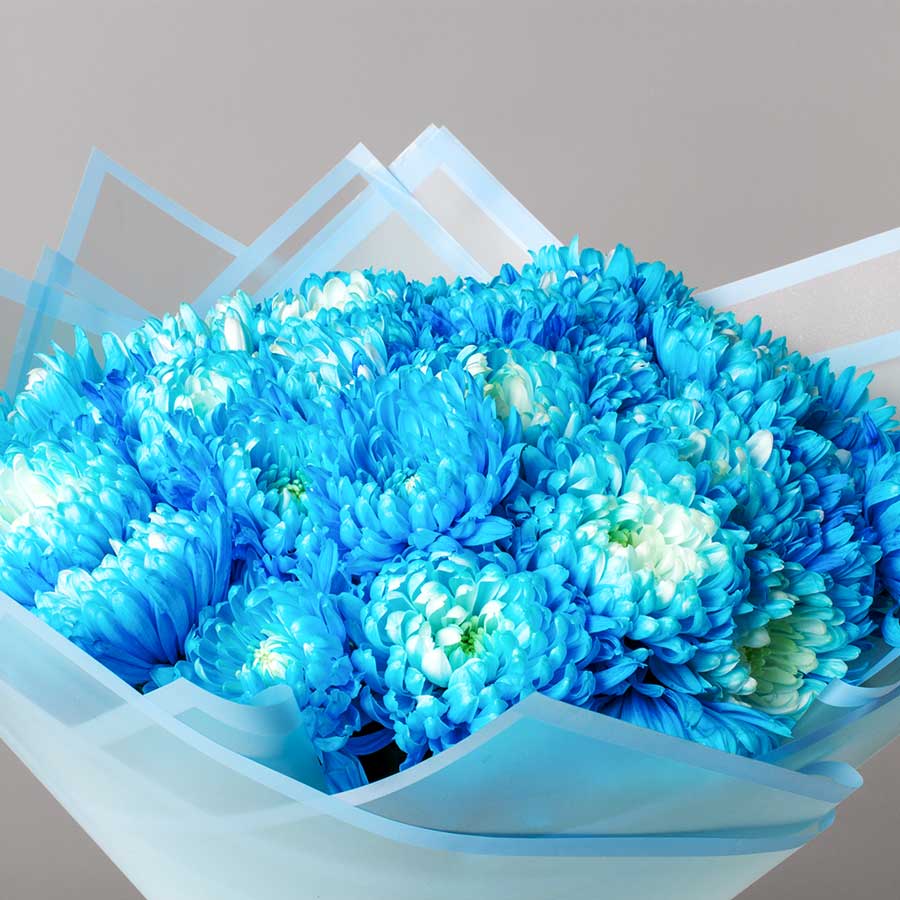 product-image-Blue Chrysanthemum
