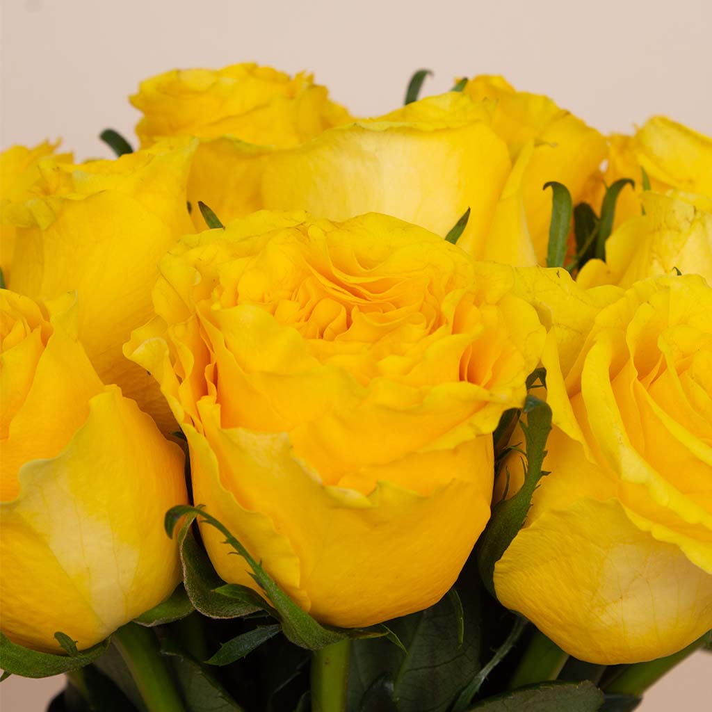 product-image-Glow Vase - 20 Yellow Roses