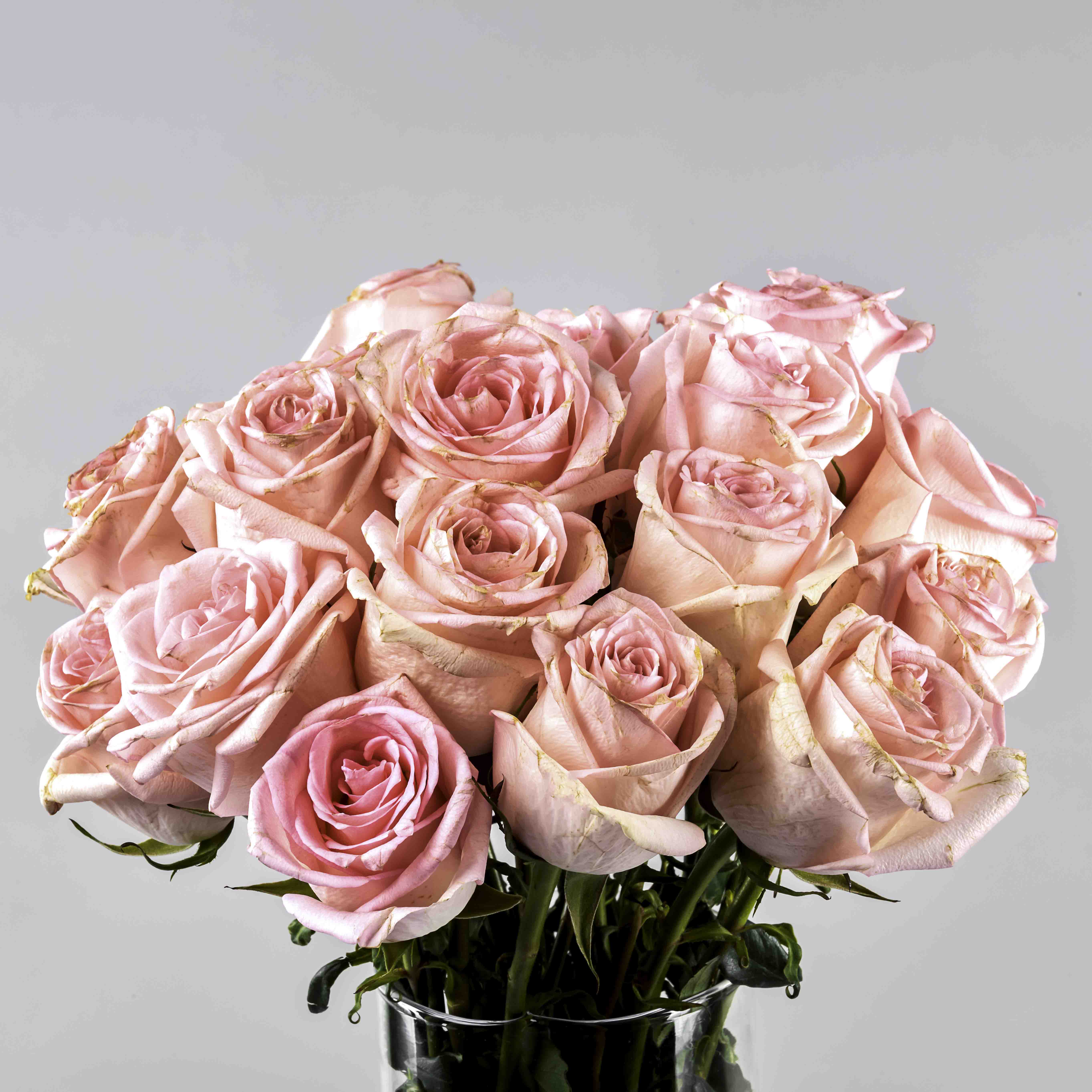 product-image-Rose Flowers Vase