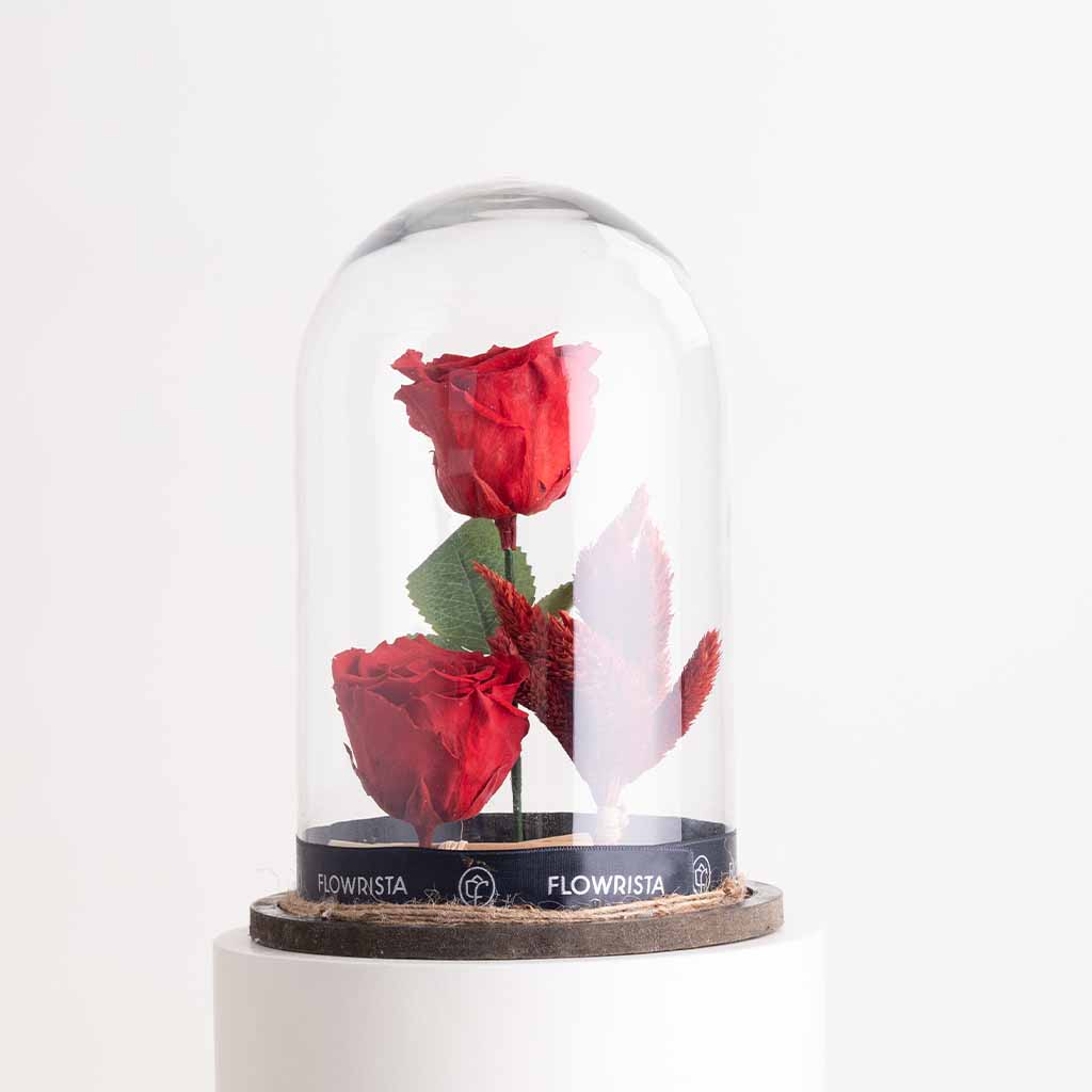 Flowrista Online Flowers Shop وردات الخلود الحمراء